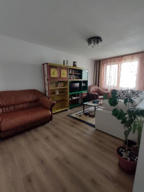 Easy Acces Apartment
